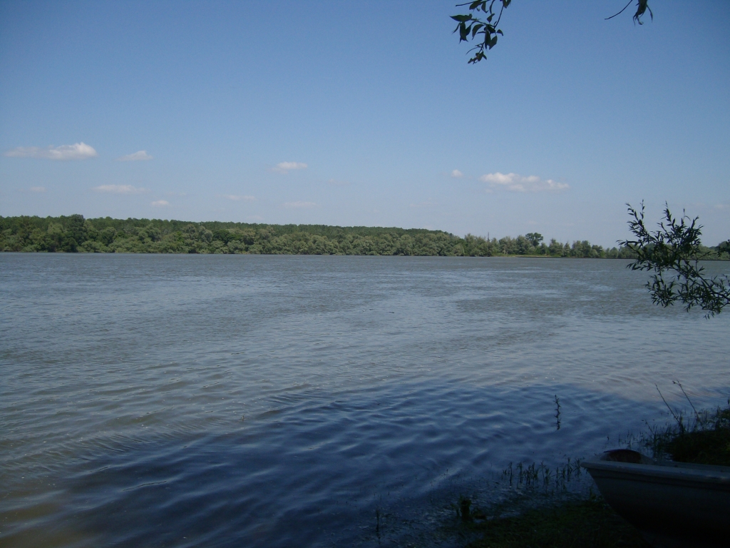 Дунав приижда, опасност от наводнения