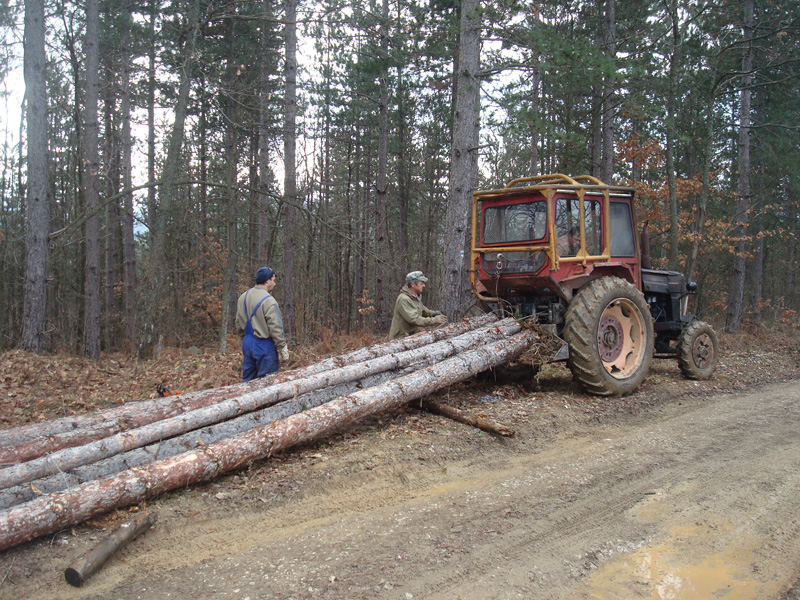 Договаряме подкрепа за горския сектор от ЕБВР