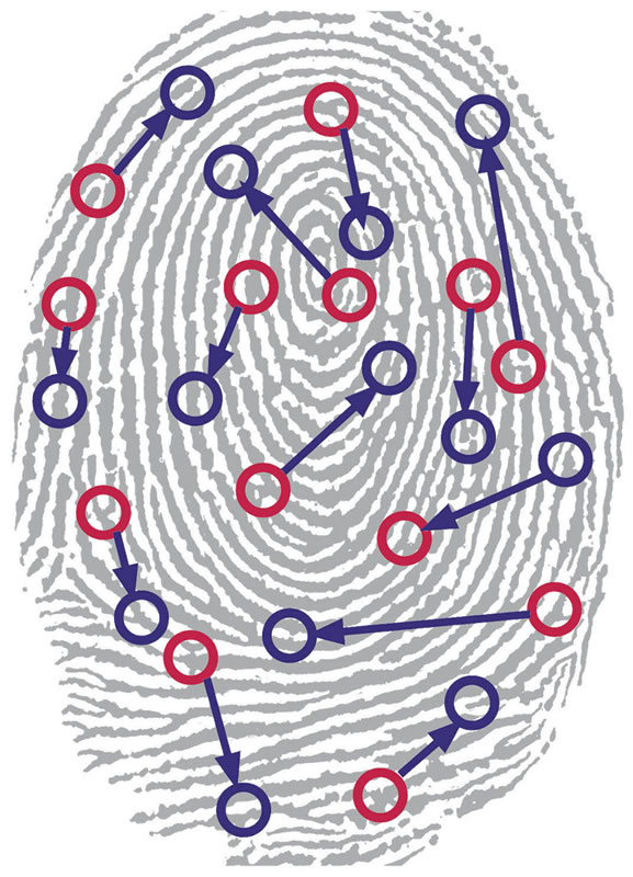 Отварят биометричните гишета за обработка на лични данни