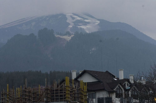 Режат 33 000 дървета по трасето на новата ски зона на Витоша