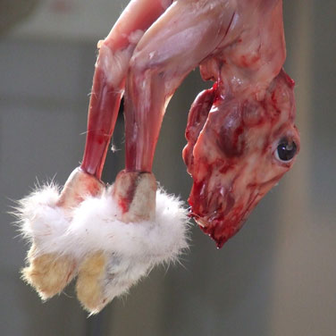 Ветеринари иззеха 286 кг шилешко месо от Женския пазар