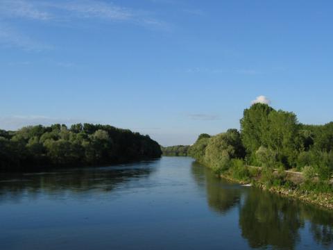 Труп изплува от Дунав 