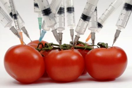 Забраняват ГМО в детските храни   