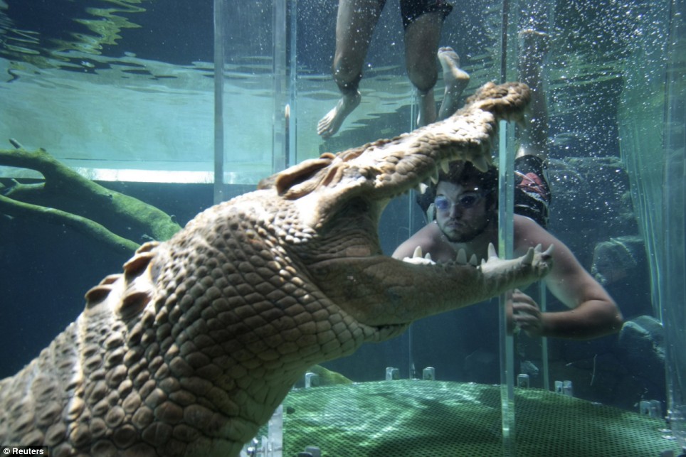 Френска туристка тръгна да си прави селфи с крокодил, но се случи нещо кошмарно 
