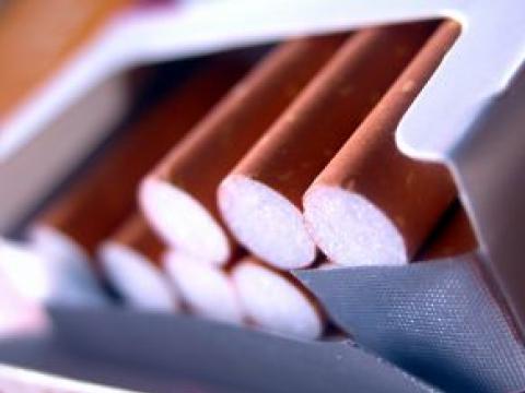 13 800 къса цигари задържаха митничарите в Свиленград