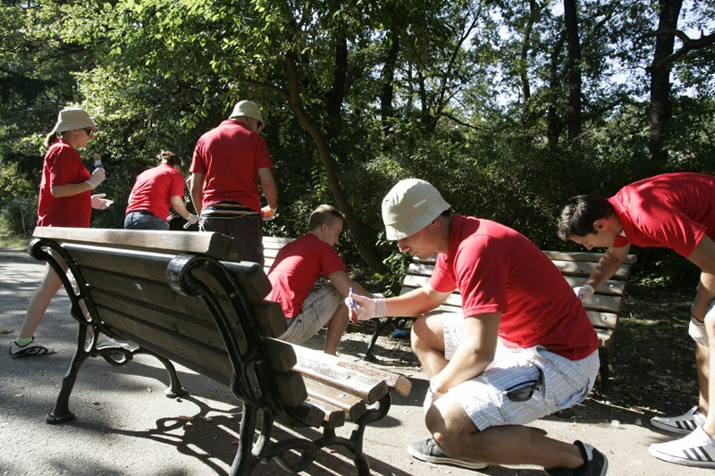 Стажанти боядисаха пейки и събираха шума в Борисовата градина