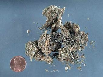Наркотрафиканти изоставиха 1,7 тона марихуана в морето