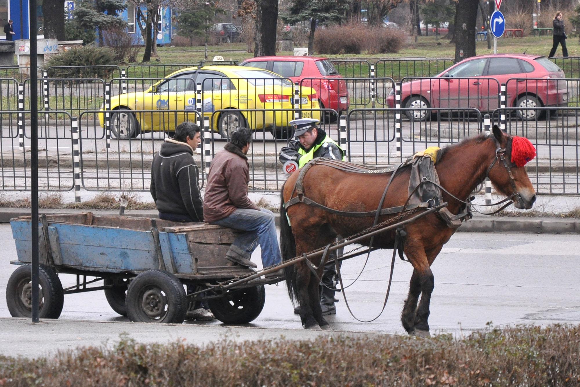 София с паркинг за бездомни коне