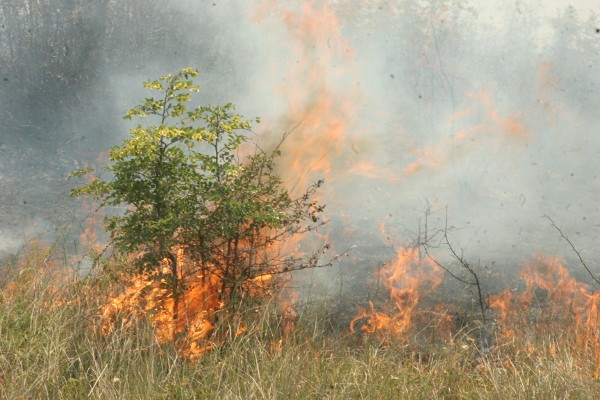 Пожар гори около хижа на Витоша 