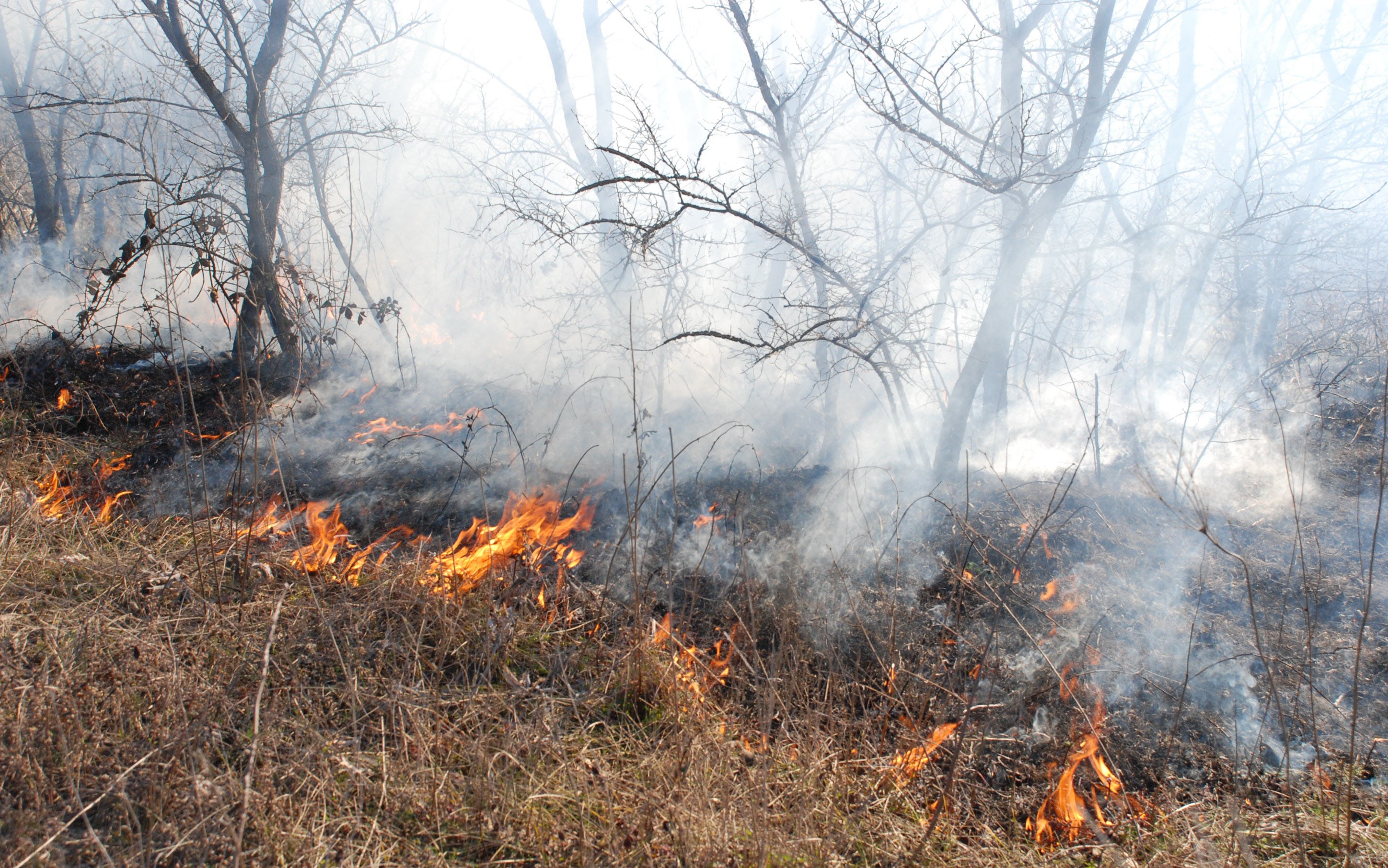 Гасиха четири умишлени пожара в Хасковско