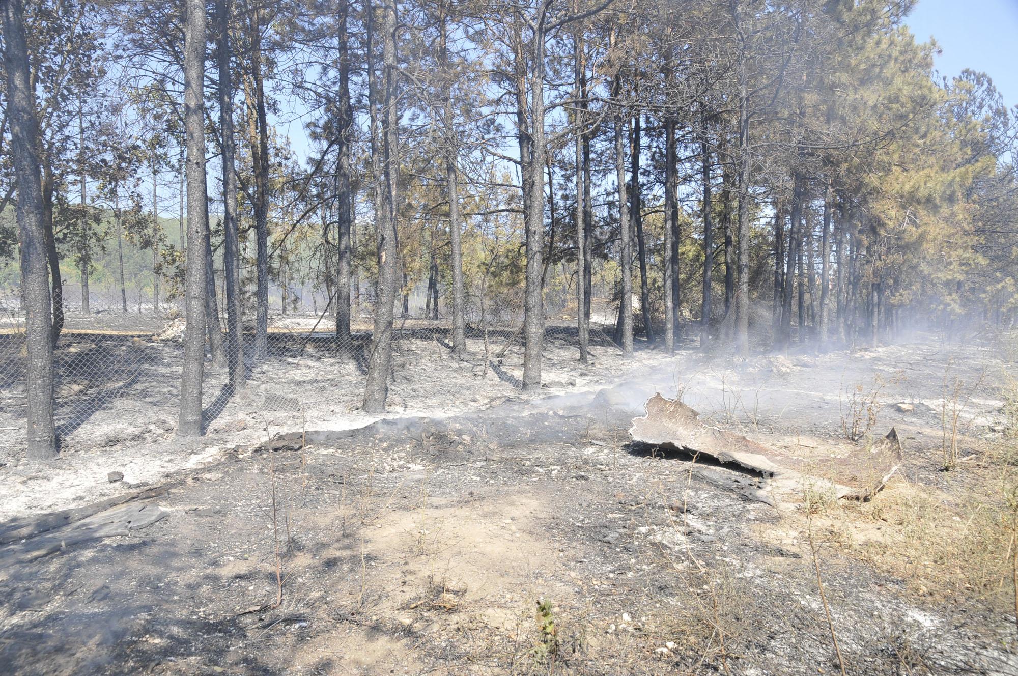 Пожари горят в Кюстендилско 