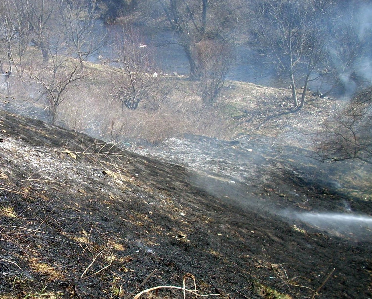 Пожарът край Банско е загасен