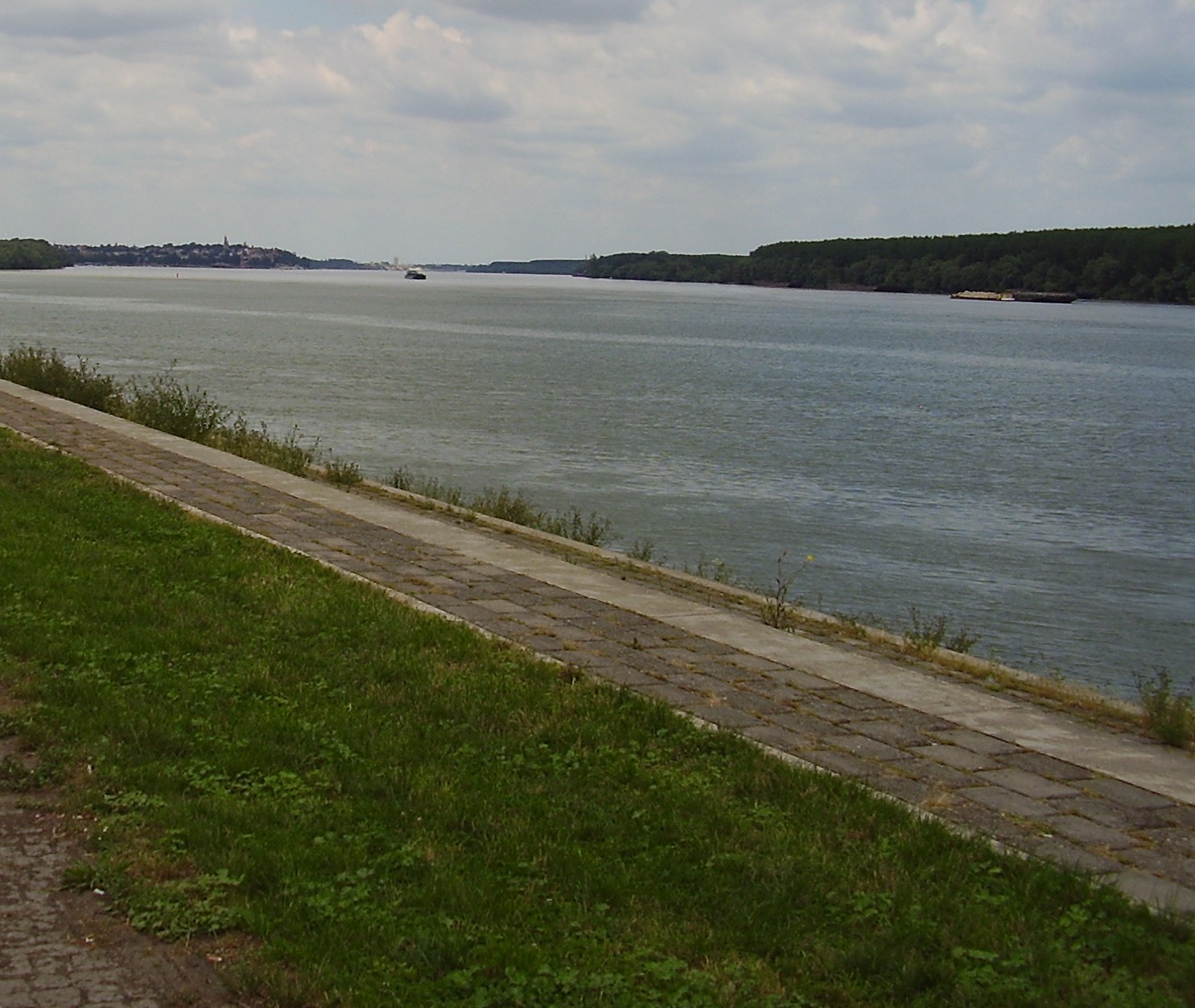Издирват 8-годишно дете в река Дунав