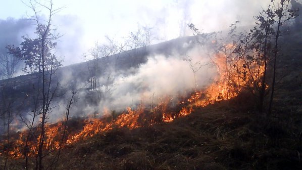 Пожар пламна в Пирин