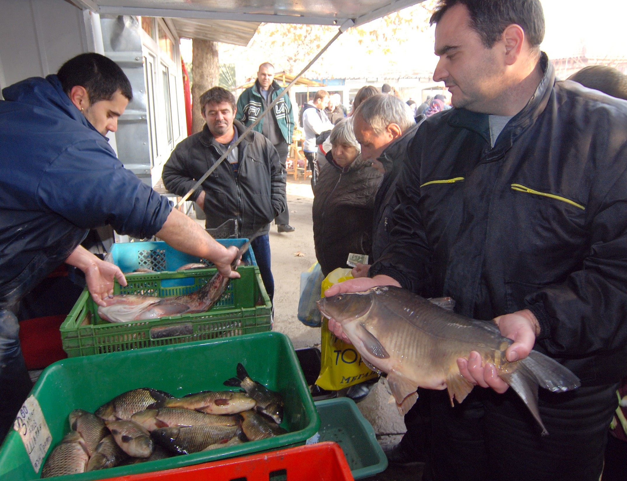 Най-евтината риба е на битака в Димитровград