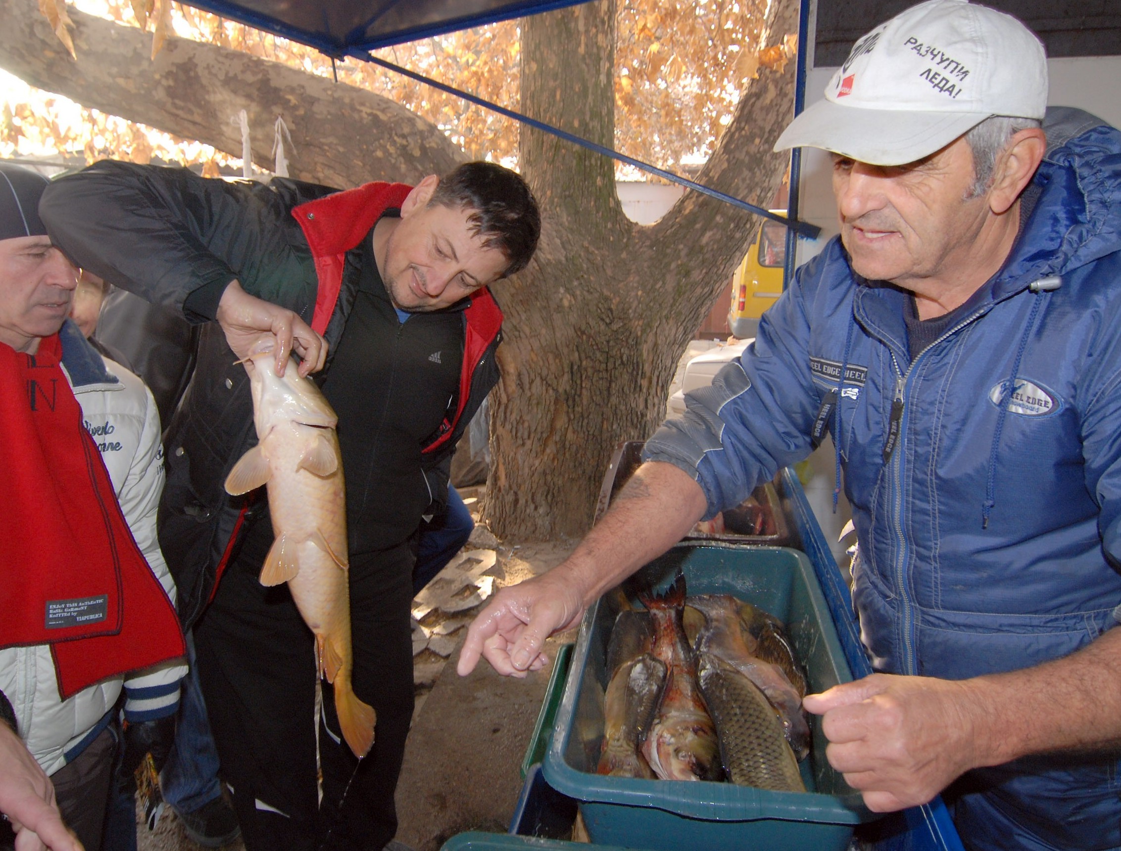 Най-евтината риба е на битака в Димитровград