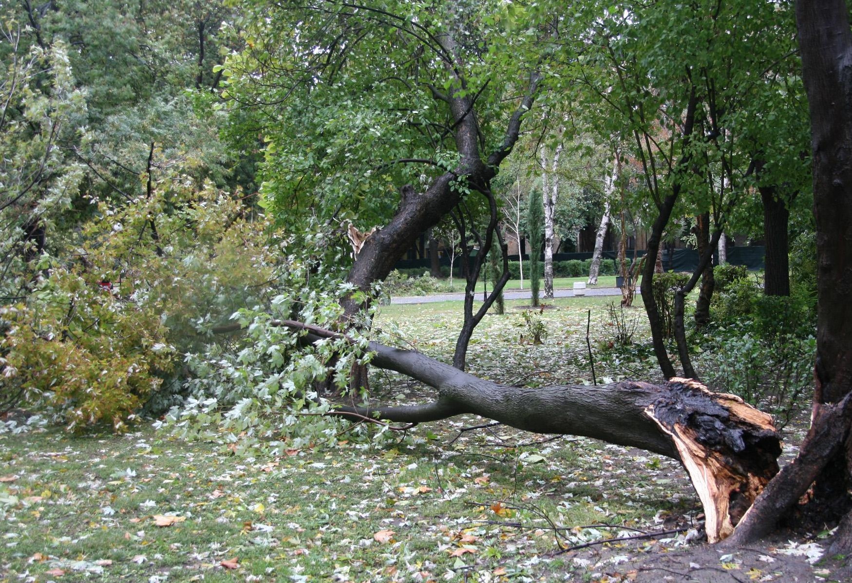 Мощен вятър шета из страната, жълт код в 16 области