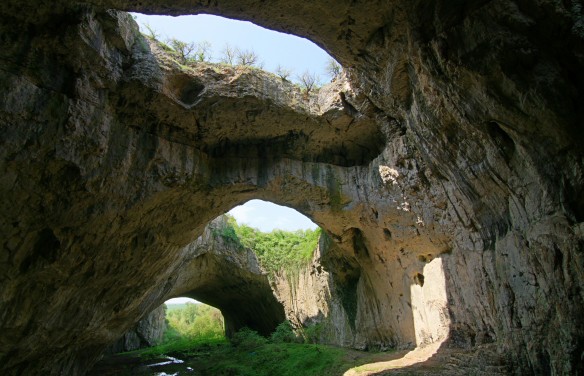 Мъртви прилепи в Деветашката пещера след &quot;Непобедимите&quot; 2