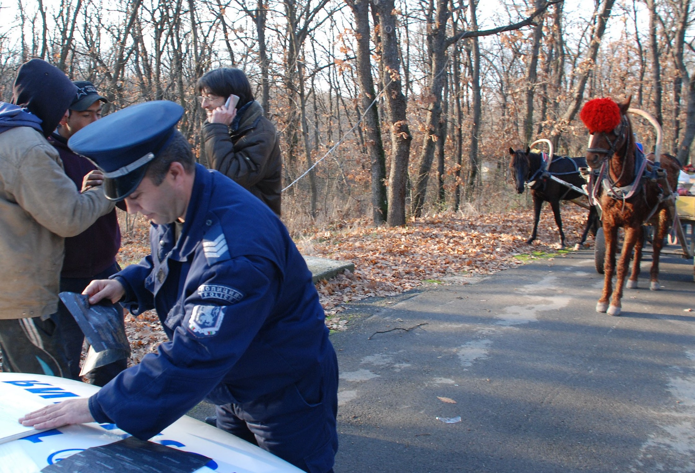 Роми нападнаха с каруци зоопарка край Хасково
