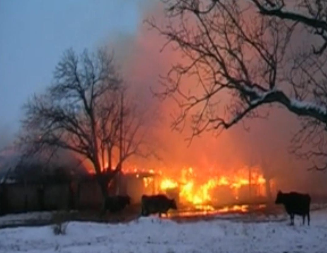 30 крави изгоряха живи в Енина
