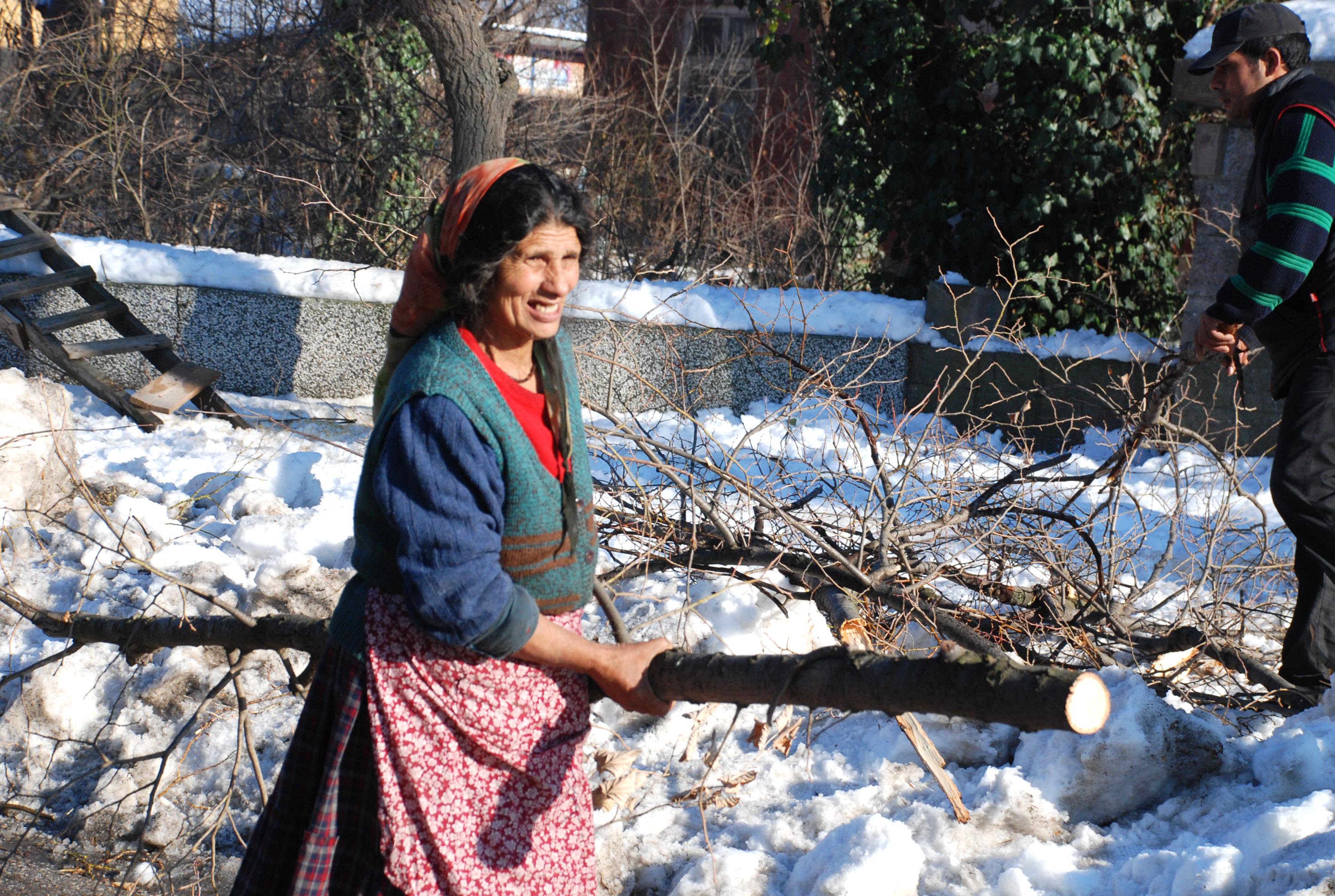 За хасковските роми настъпи годината на дървото