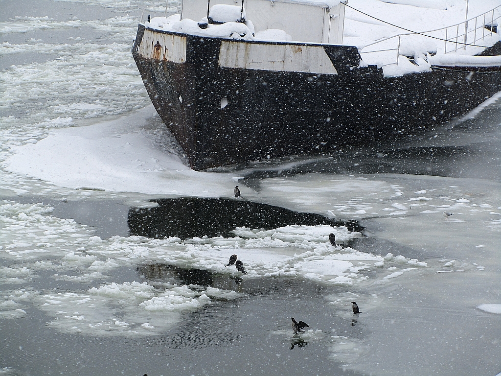 Ледът застраши силистренското пристанище