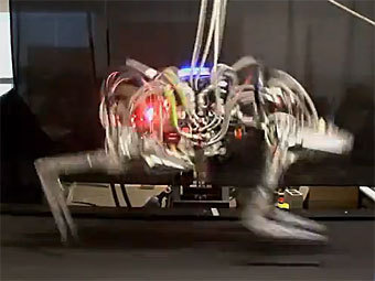 Американски четириног робот подобри рекорда за скорост