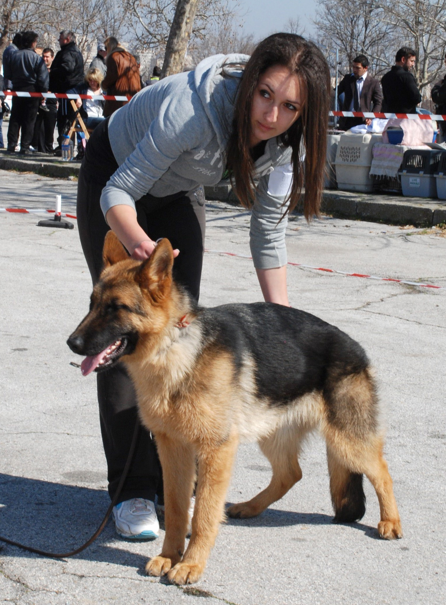 Над 100 кучета на международна киноложка изложба в Хасково
