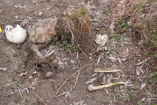 Откриха човешки скелет край село Реброво