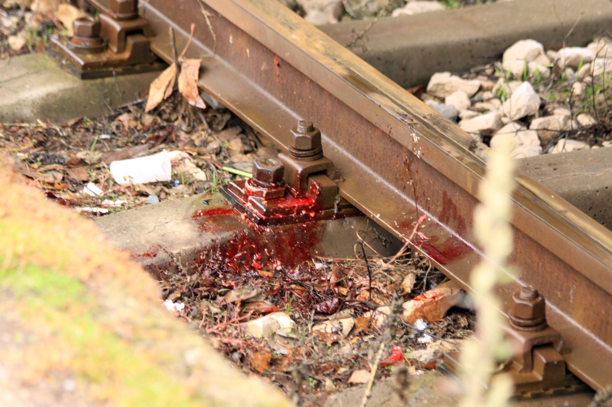 Ексклузивно в БЛИЦ: Влак уби и влачи 1 км жена в София