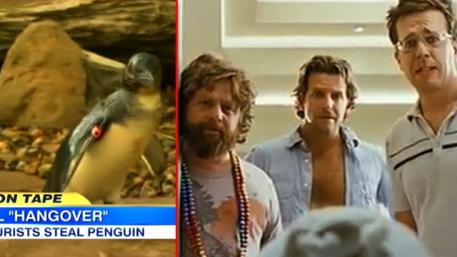 Трима къркани англичани крадат пингвин за спомен 