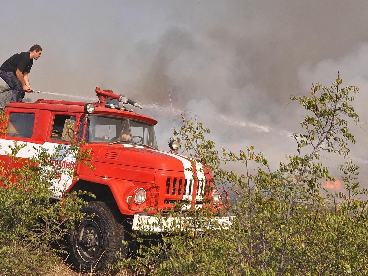 Пожар гори в Сливенския балкан 