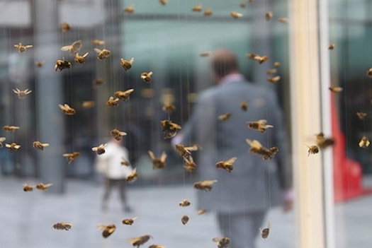 Гневни пчели опитаха да убият човек в София
