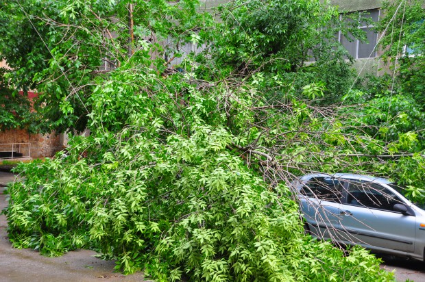 Градушка бие в Садово, потоп в Пазарджик
