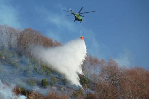 Пожар гори в Бистришко бранище