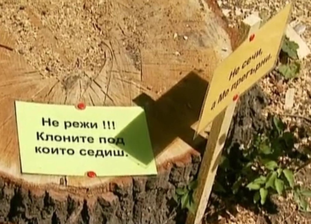 Мистерия и ужас в Борисовата градина! Психопат залага капани с полуотрязани дървета!