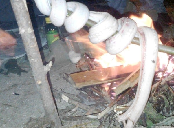 Тийнейджъри убиха, опекоха и изядоха гигантски смок във Варна 