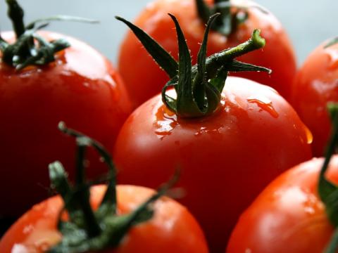 90 % от доматите у нас с израелски ген RIN, не се развалят
