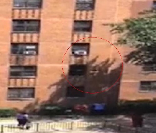 Седемгодишно дете падна от 3-ия етаж в ръцете на съсед (ВИДЕО)