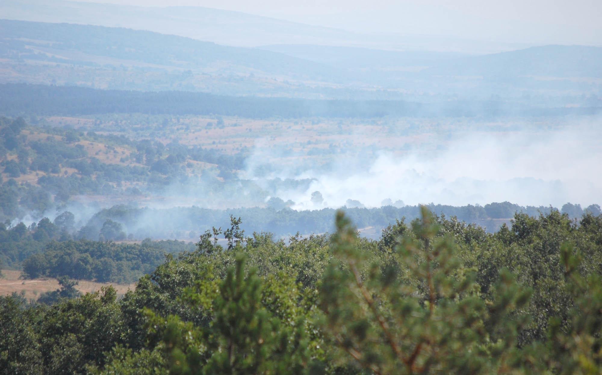 5 часа гасиха пожар в Шумен, оцеля над 500 дка борова гора
