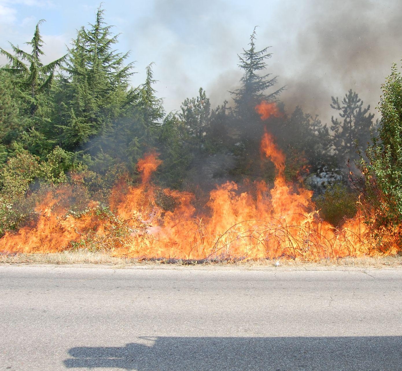 България пламна от всички страни, четири села в Родопите са в опасност