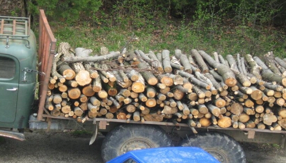 Двойно повече хора купуват дърва за огрев, и цените двойни