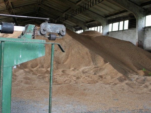 Невиждан ръст в износа на българско хлебно зърно