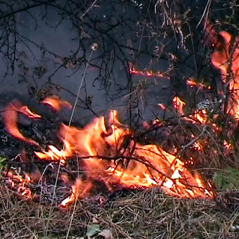 Пожар обгазява Рилския манастир 