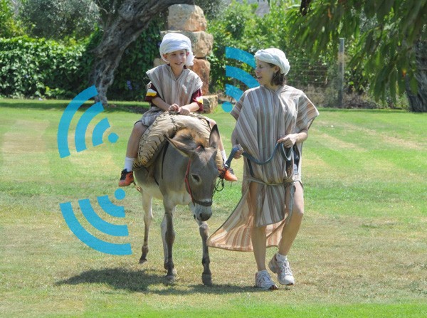 Оборудваха магарета в Израел с безжичен интернет 