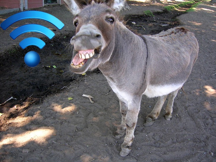 Оборудваха магарета в Израел с безжичен интернет 