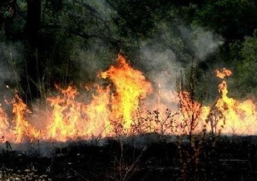 Пожарът в Рила планина е локализиран