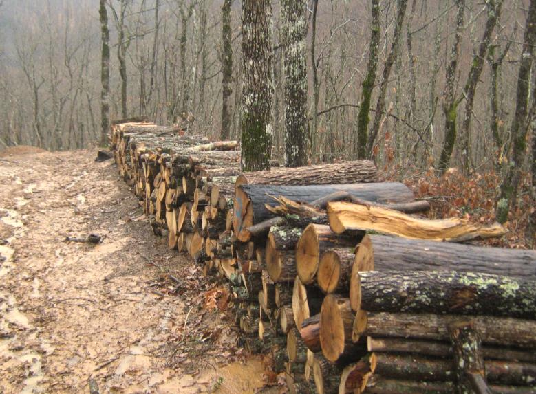 Иде зима: 60% повече дърва и въглища изтъргувани за месец