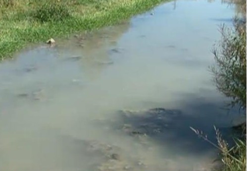 Фекални води убиват рибата в язовир Душанци