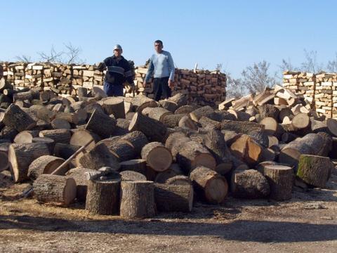 Хванаха горски да продава  крадени дърва
